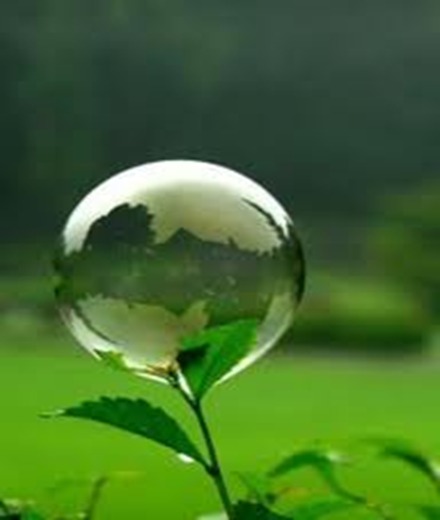 Irrigation and Water Management 2025