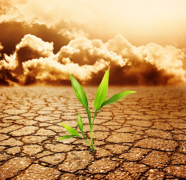 Climate Change and Crop Production 25/26